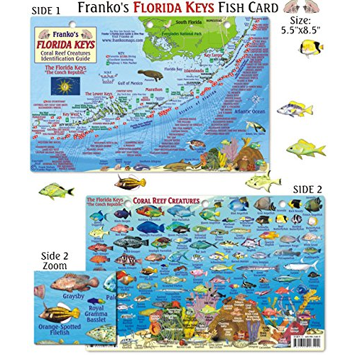 Card, Fl. Keys Map & Fish ID